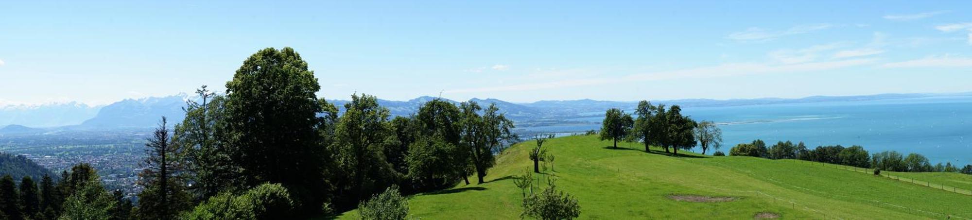 Fritsch Am Berg - Adults Only Hotel Lochau Room photo